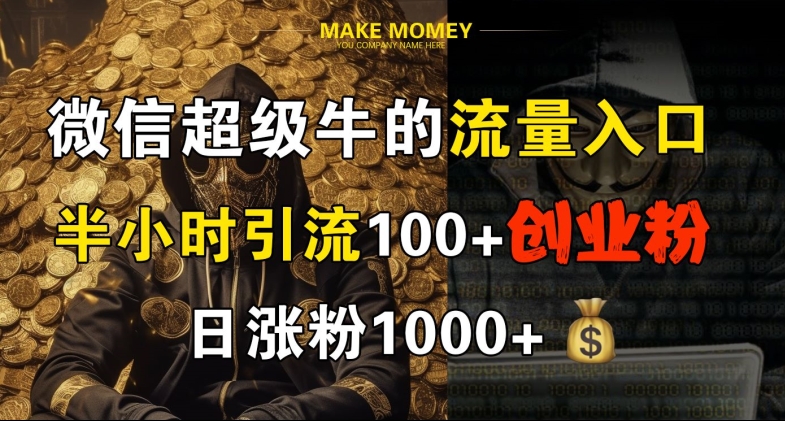 微信超级牛的流量入口，半小时引流100+创业粉，日涨粉1000+-蓝悦项目网