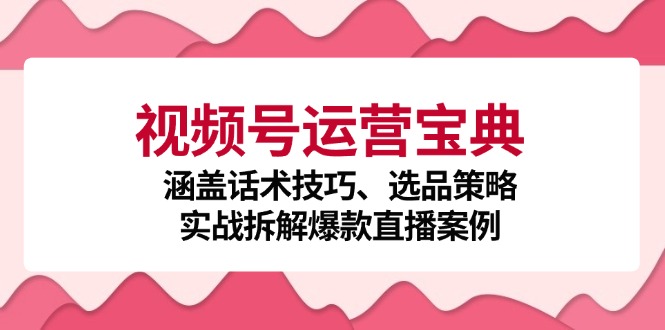 （12808期）视频号运营宝典：涵盖话术技巧、选品策略、实战拆解爆款直播案例-蓝悦项目网