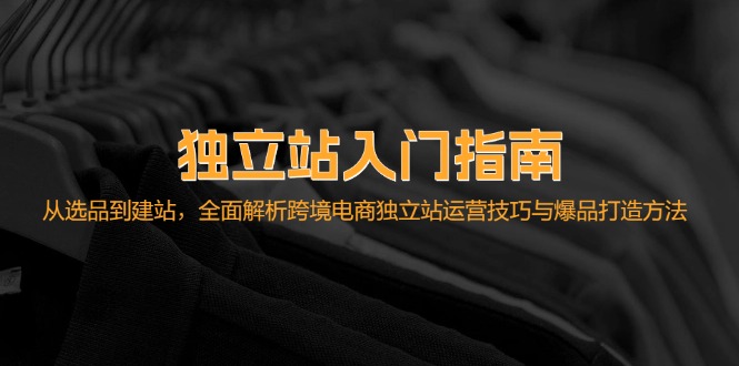 （12882期）自建站新手入门手册：从选款到建网站，深度剖析跨境电子商务独立站运营技巧与爆款…-蓝悦项目网