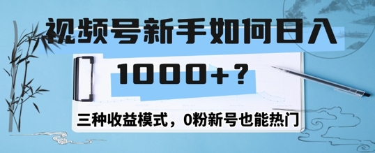 微信视频号新手怎么日入1k？三种盈利方式，0粉小号也可以受欢迎-蓝悦项目网