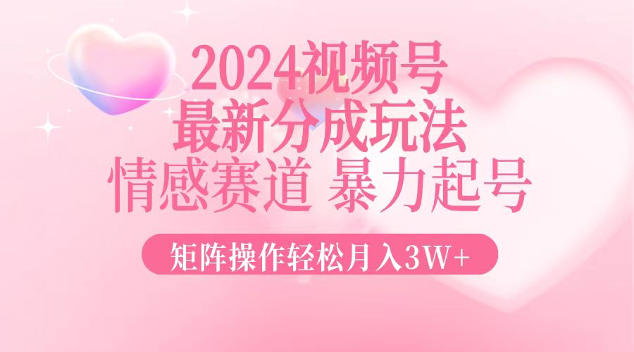 （12922期）2024新视频号分为游戏玩法，情绪跑道，暴力行为养号，引流矩阵实际操作轻轻松松月入3W-蓝悦项目网