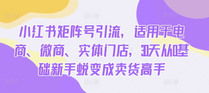 小红书的矩阵账号引流方法，适用电子商务、微商代理、线下门店，30天从0基本初学者成长为卖东西大神-蓝悦项目网