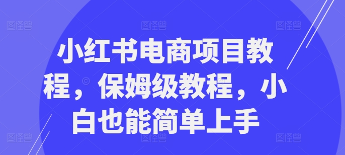 小红书电商新项目实例教程，家庭保姆级实例教程，新手也可以简易入门-蓝悦项目网