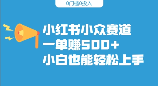 小红书的冷门跑道，一单收500 ，新手也可以快速上手-蓝悦项目网