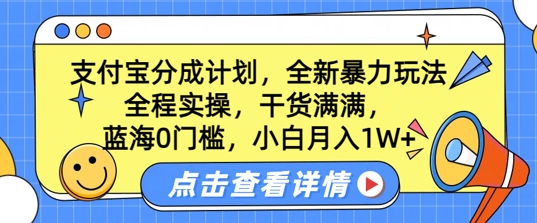 瀚海0门坎，支付宝钱包分为方案，全新升级暴力行为游戏玩法，全过程实际操作，满满的干货，新手月入1W-蓝悦项目网