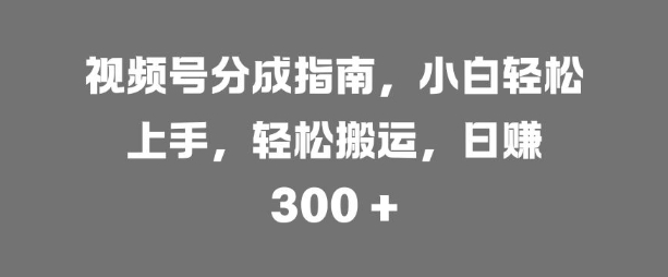 微信视频号分为手册，新手快速上手，轻轻松松运送，日入3张-蓝悦项目网