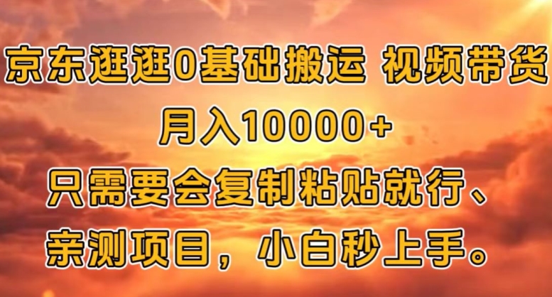 京东商城逛一逛0基本运送短视频带货【手机赚钱】月入1w-蓝悦项目网
