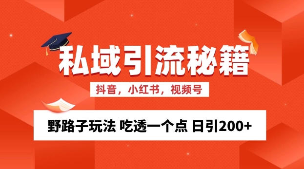 私域流量的精准性获客方法 歪门邪道游戏玩法 弄懂一个点 日引200 【揭密】-蓝悦项目网