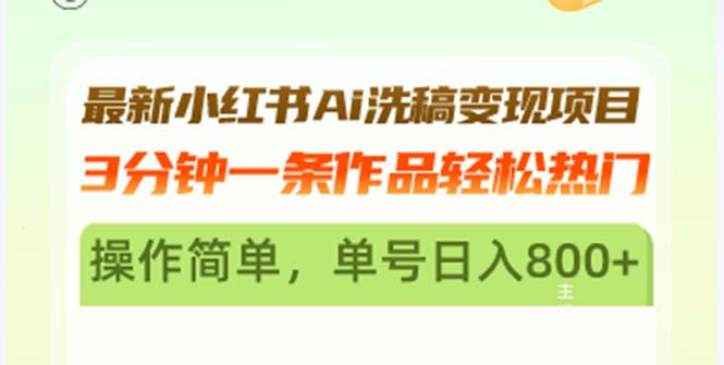 （13182期）最新小红书Ai洗稿变现项目 3分钟一条作品轻松热门 操作简单，单号日入800+-蓝悦项目网