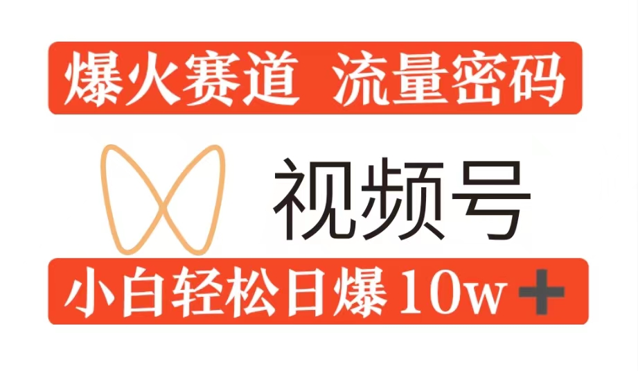 0粉在视频号爆火赛道流量密码，模式全方位，小白轻松日爆10w+流量-蓝悦项目网