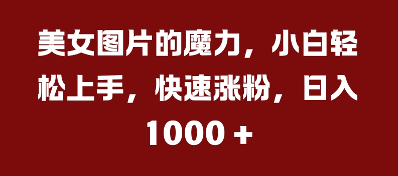 美女照片的魔力，新手快速上手，快速吸粉，日入多张【揭密】-蓝悦项目网