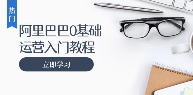 （13291期）阿里巴巴运营零基础入门教程：涵盖开店、运营、推广，快速成为电商高手-蓝悦项目网