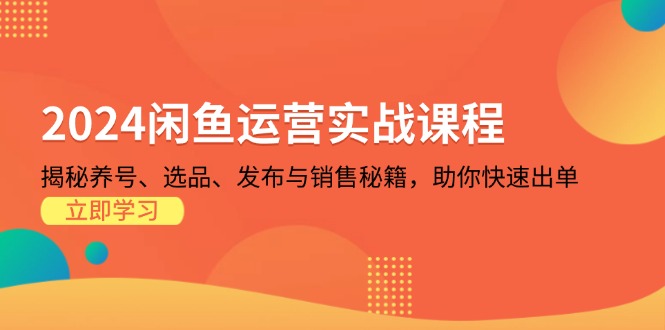 （13290期）2024闲鱼运营实战课程：揭秘养号、选品、发布与销售秘籍，助你快速出单-蓝悦项目网