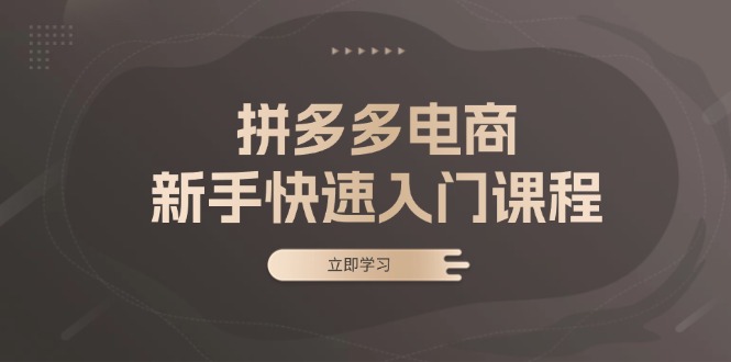 （13289期）拼多多电商新手快速入门课程：涵盖基础、实战与选款，助力小白轻松上手-蓝悦项目网