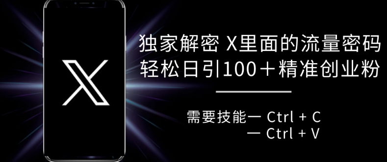 独家代理破译 X 里边的总流量登陆密码，拷贝轻轻松松日引100-蓝悦项目网