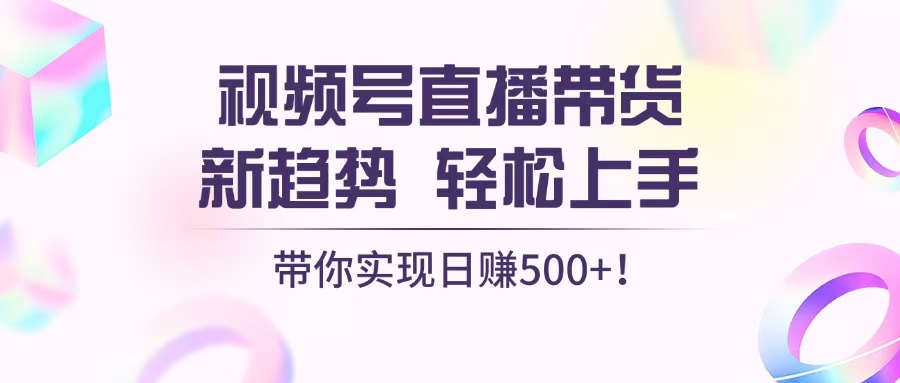 （13370期）视频号直播带货新趋势，轻松上手，带你实现日赚500+-蓝悦项目网