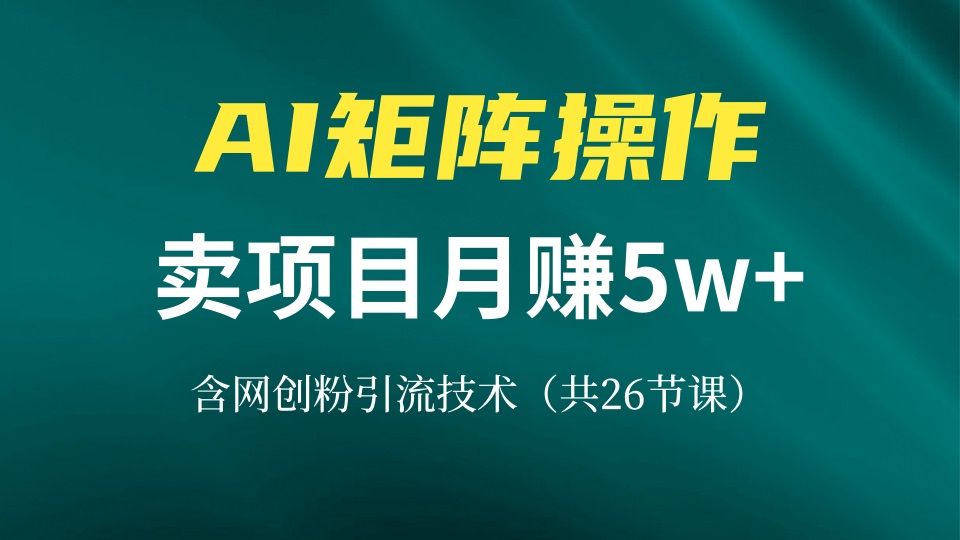 （13335期）网创IP打造出课，依靠AI卖项目月赚5万 ，含引流技术（共26堂课）-蓝悦项目网