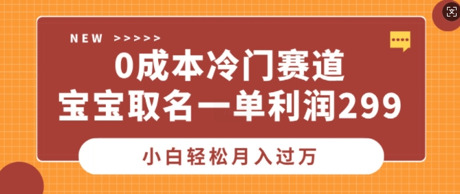 0成本冷门赛道，宝宝取名一单利润299，小白轻松月入过万-蓝悦项目网