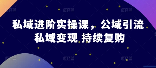 公域升阶实操课，公域流量引流方法 私域变现 不断回购-蓝悦项目网