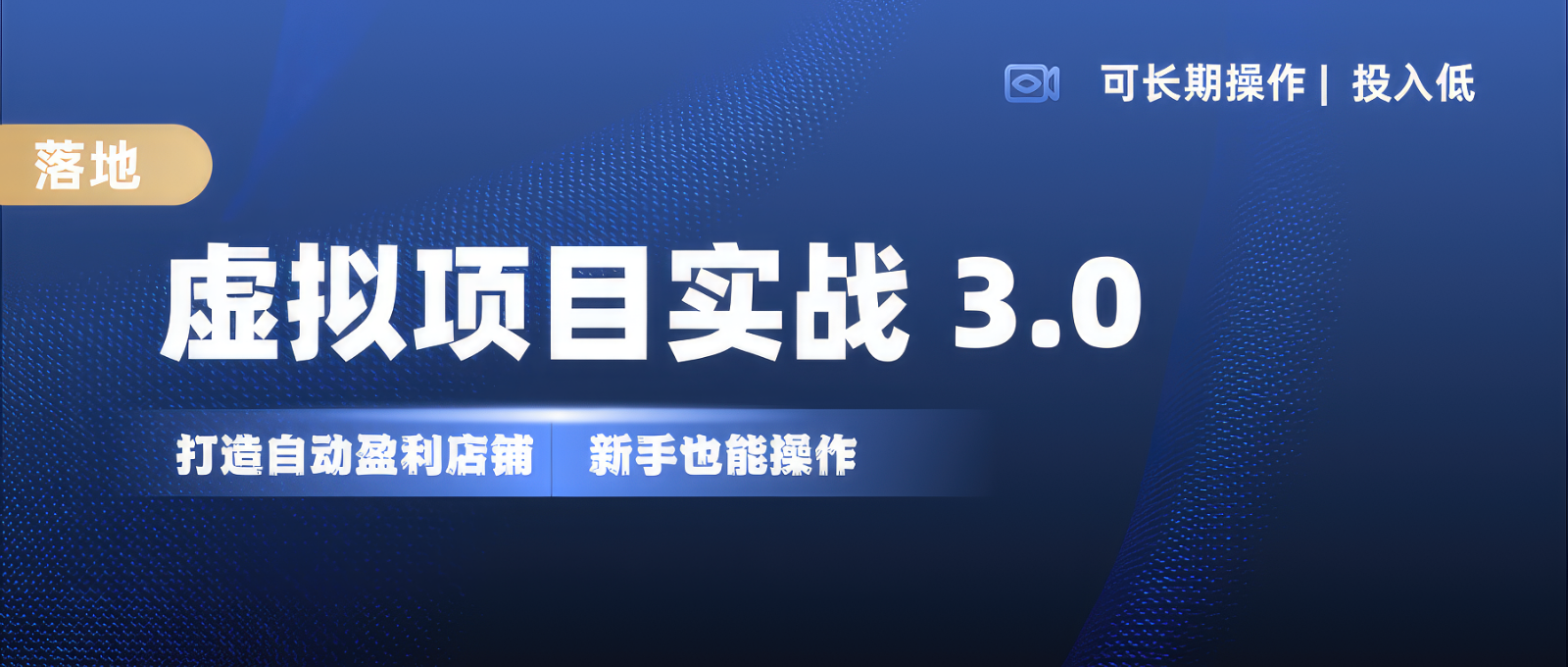 虚拟资源项目实际操作落地式 3.0,初学者快速上手，品类月入1W-蓝悦项目网