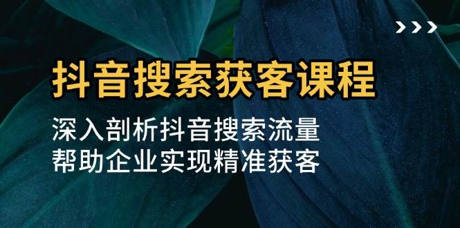 抖音搜索获客课程：深入剖析抖音搜索流量，帮助企业实现精准获客-蓝悦项目网