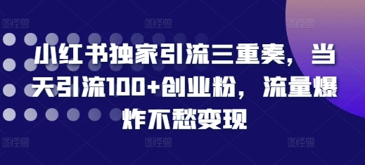 小红书独家引流三重奏，当天引流100+创业粉，流量爆炸不愁变现【揭秘】-蓝悦项目网