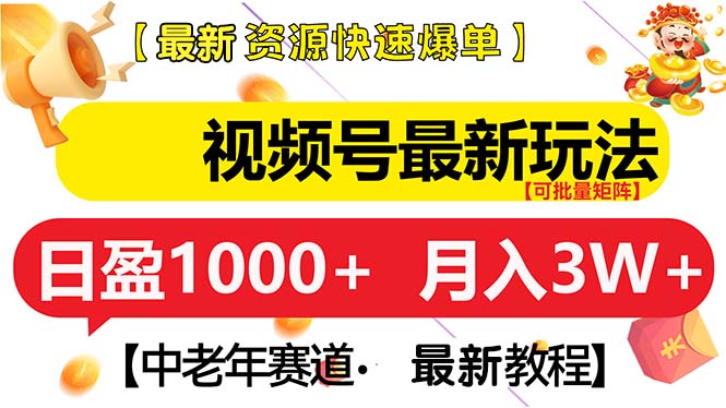 （13530期）视频号最新玩法 中老年赛道 月入3W+-蓝悦项目网