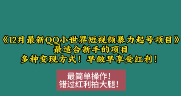 12月最新QQ小世界短视频暴力起号项目，最适合新手的项目，多种变现方式-蓝悦项目网