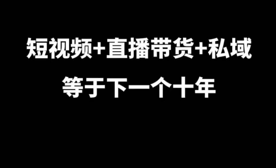 短视频+直播带货+私域等于下一个十年，大佬7年实战经验总结-蓝悦项目网