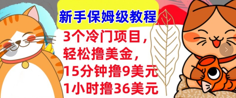 3个冷门项目，轻松撸美刀，1小时撸36刀，新手保姆级教程-蓝悦项目网