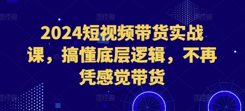 2024短视频带货实战课，搞懂底层逻辑，不再凭感觉带货-蓝悦项目网