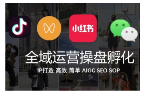 全域运营操盘(抖音+私域+小红书)，IP打造高效简单-蓝悦项目网
