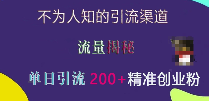 不为人知的引流渠道，流量揭秘，实测单日引流200+精准创业粉【揭秘】-蓝悦项目网