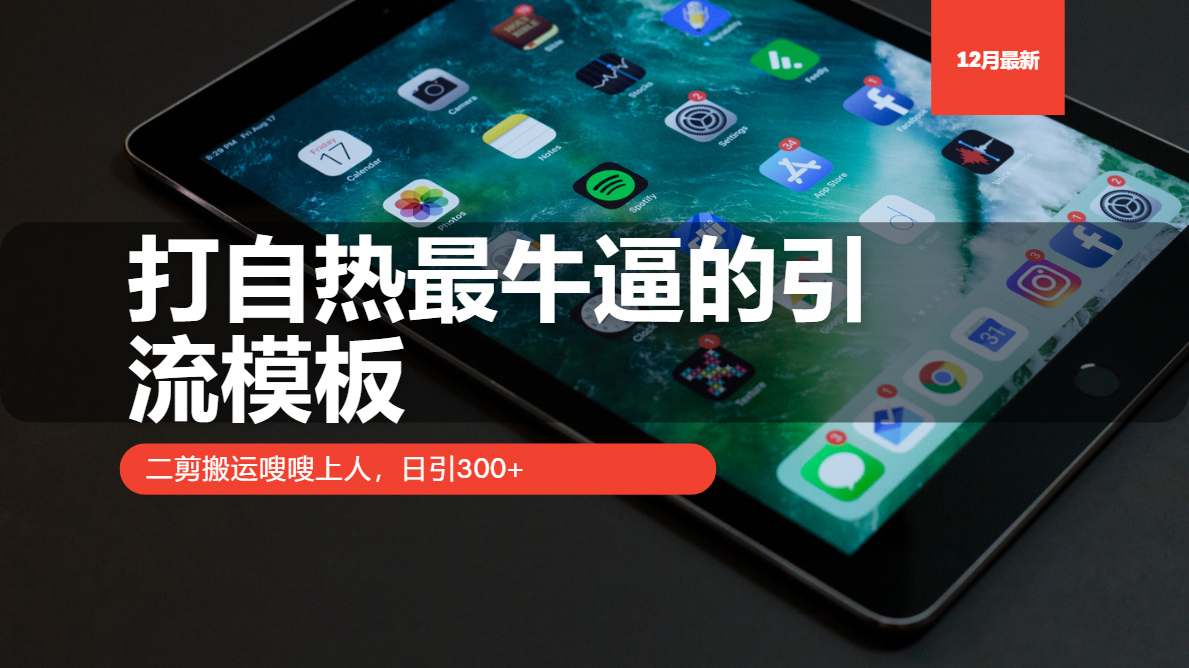 （13654期）打自热最牛逼的引流模板，二剪搬运嗖嗖上人，日引300+-蓝悦项目网