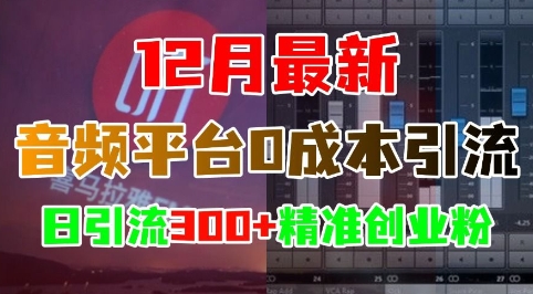 12月最新：音频平台0成本引流，日引流300+精准创业粉-蓝悦项目网