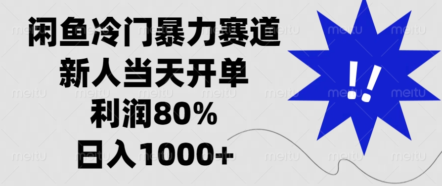 （13660期）闲鱼冷门暴力赛道，新人当天开单，利润80%，日入1000+-蓝悦项目网