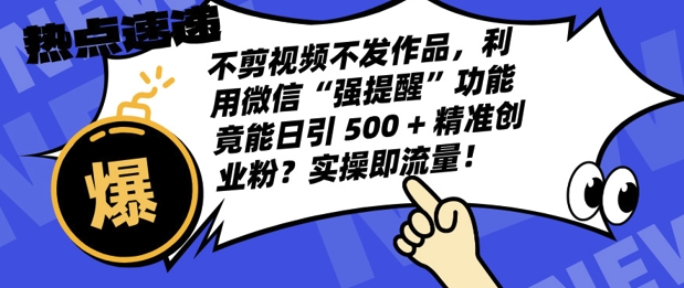 不剪视频不发作品，视频号私信日引 500 + 精准创业粉?实操即流量!-蓝悦项目网