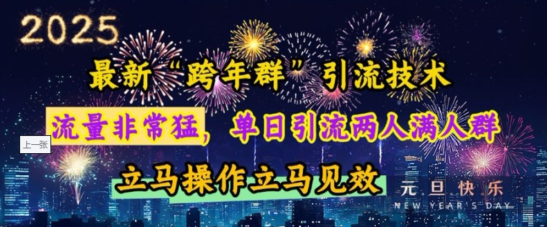 最新“跨年群”引流，流量非常猛，单日引流两人满人群，立马操作立马见效【揭秘】-蓝悦项目网