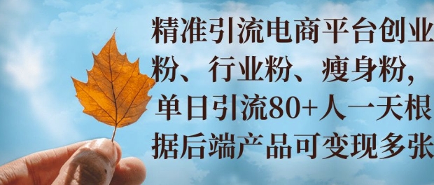 小投资撬动大收益，精准引流创业粉、行业粉，单日引流80+，一天可变现多张-蓝悦项目网