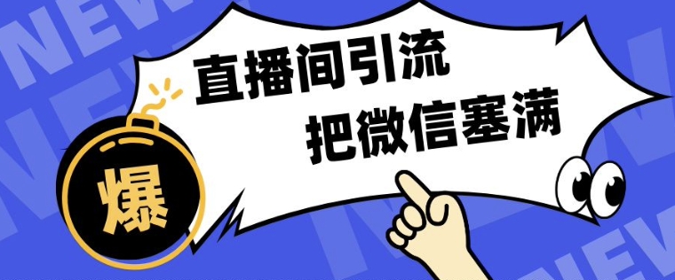 短视频直播间引流，单日轻松引流300+，把微信狠狠塞满-蓝悦项目网