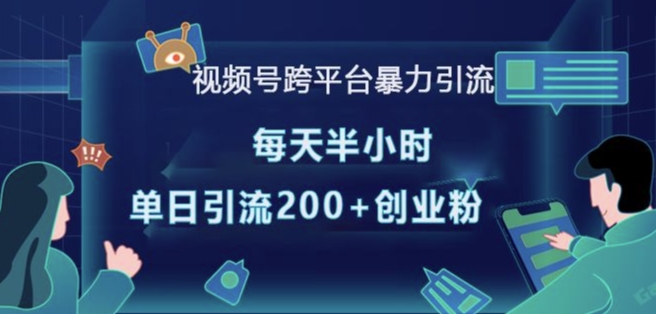 视频号跨平台暴力引流，每天半小时，单日引流200+精准创业粉-蓝悦项目网