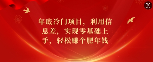 年底冷门项目，利用信息差，实现零基础上手，轻松赚个肥年钱【揭秘】-蓝悦项目网