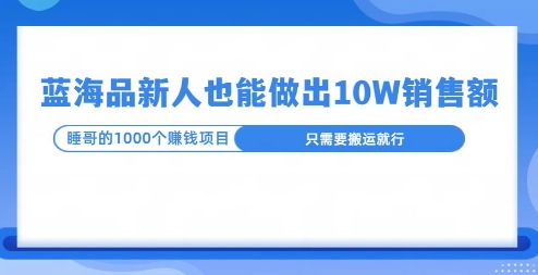 这个蓝海品，新号也能卖出10W的销售额，年底疯狂怼量就能出结果-蓝悦项目网