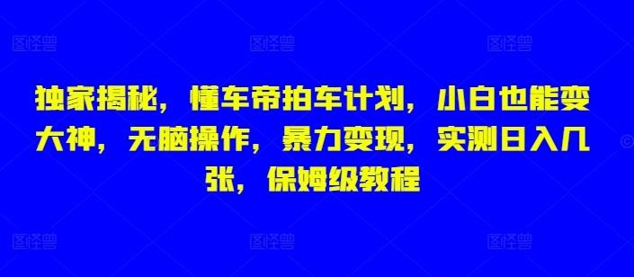 独家揭秘，懂车帝拍车计划，小白也能变大神，无脑操作，暴力变现，实测日入几张，保姆级教程-蓝悦项目网