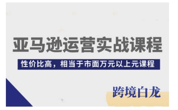 亚马逊运营实战课程，亚马逊从入门到精通，性价比高，相当于市面万元以上元课程-蓝悦项目网