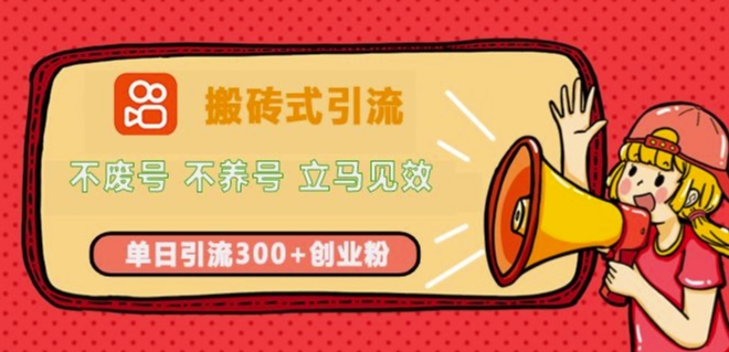 快手搬砖式引流，不废号，不养号，立马见效，单日引流300+精准创业粉-蓝悦项目网