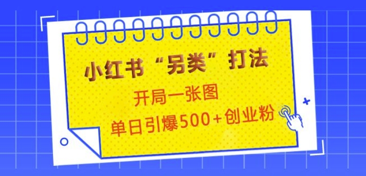 小红书“另类”打法，开局一张图，单日引爆500+精准创业粉【揭秘】-蓝悦项目网