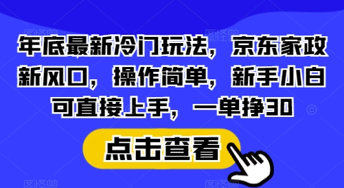 年底最新冷门玩法，京东家政新风口，操作简单，新手小白可直接上手，一单挣30【揭秘】-蓝悦项目网