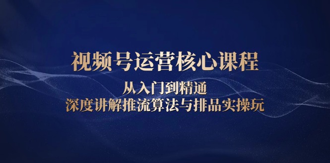 （13863期）视频号运营核心课程，从入门到精通，深度讲解推流算法与排品实操玩-蓝悦项目网