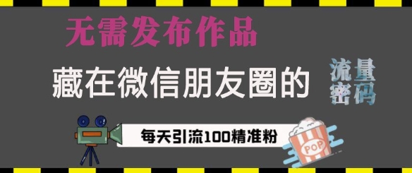 藏在微信朋友圈的流量密码，无需发布作品，单日引流100+精准创业粉【揭秘】-蓝悦项目网